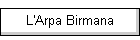 L'Arpa Birmana