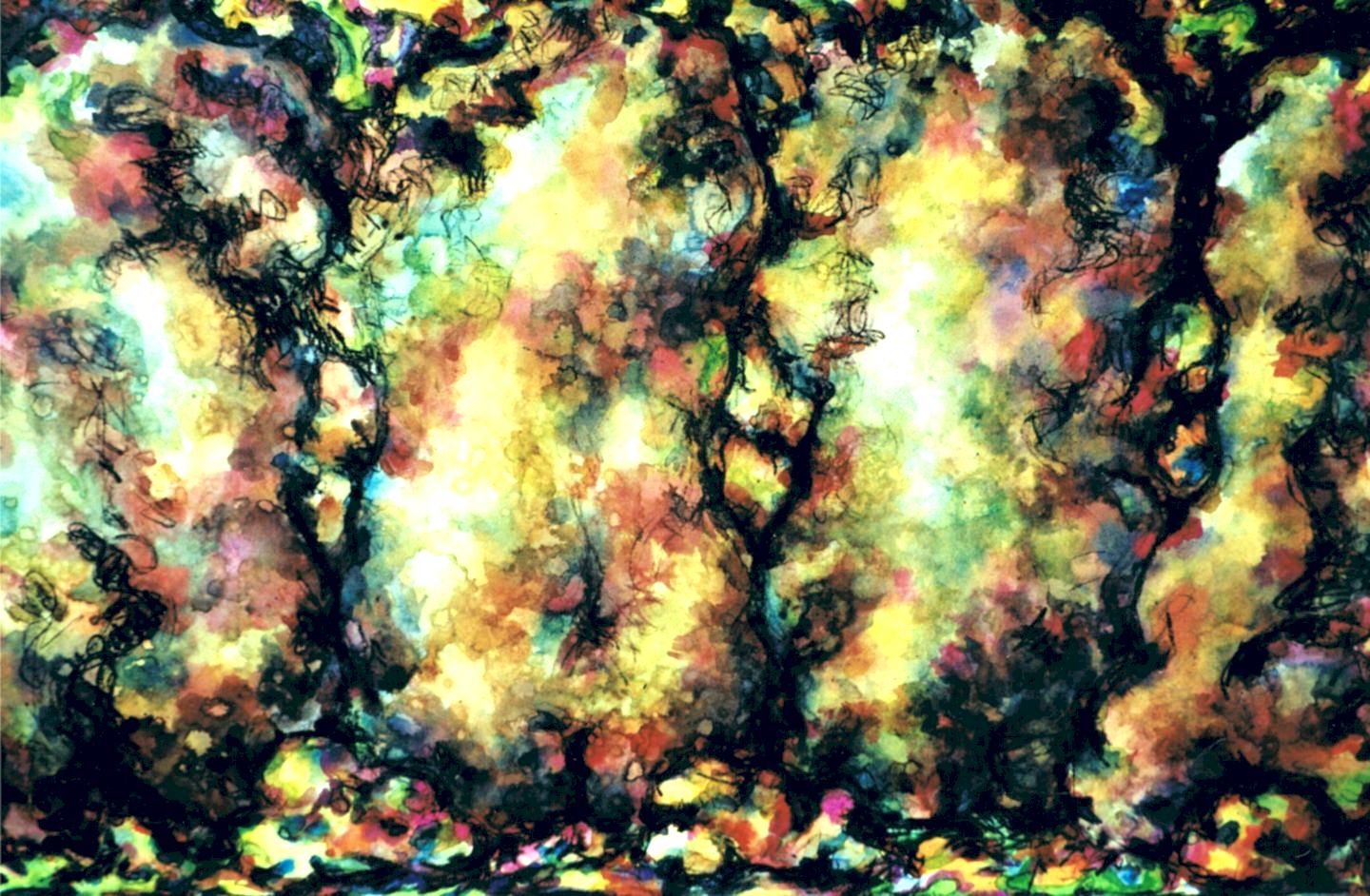 /