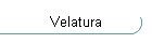 Velatura