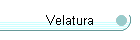 Velatura